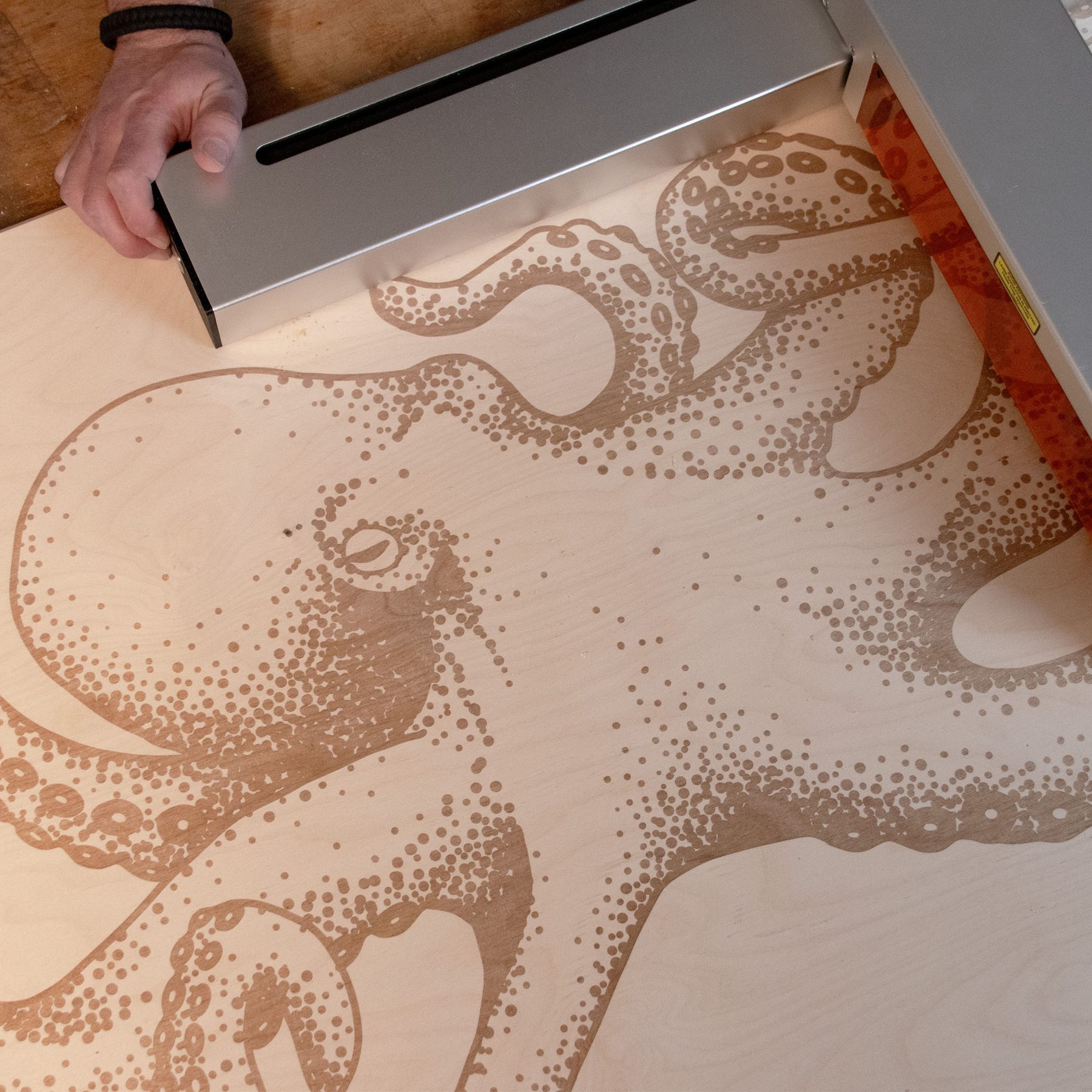 Rendyr Optic laser cutter